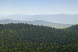 Grupa Bucegi-Fagaras