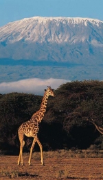 Kilimanjaro, cel mai inalt munte din Africa