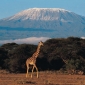 Kilimanjaro, cel mai inalt munte din Africa