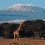 Kilimanjaro, cel mai inalt munte din Africa