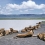Ngorongoro, paradisul al faunei africane